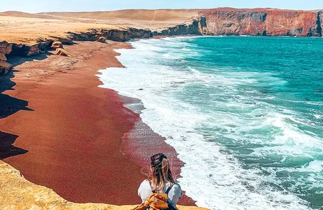 paracas tours desde lima