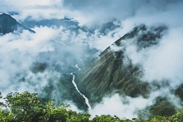 salkantay trek jungle cloud forest salkantay trek jungle cloud forest